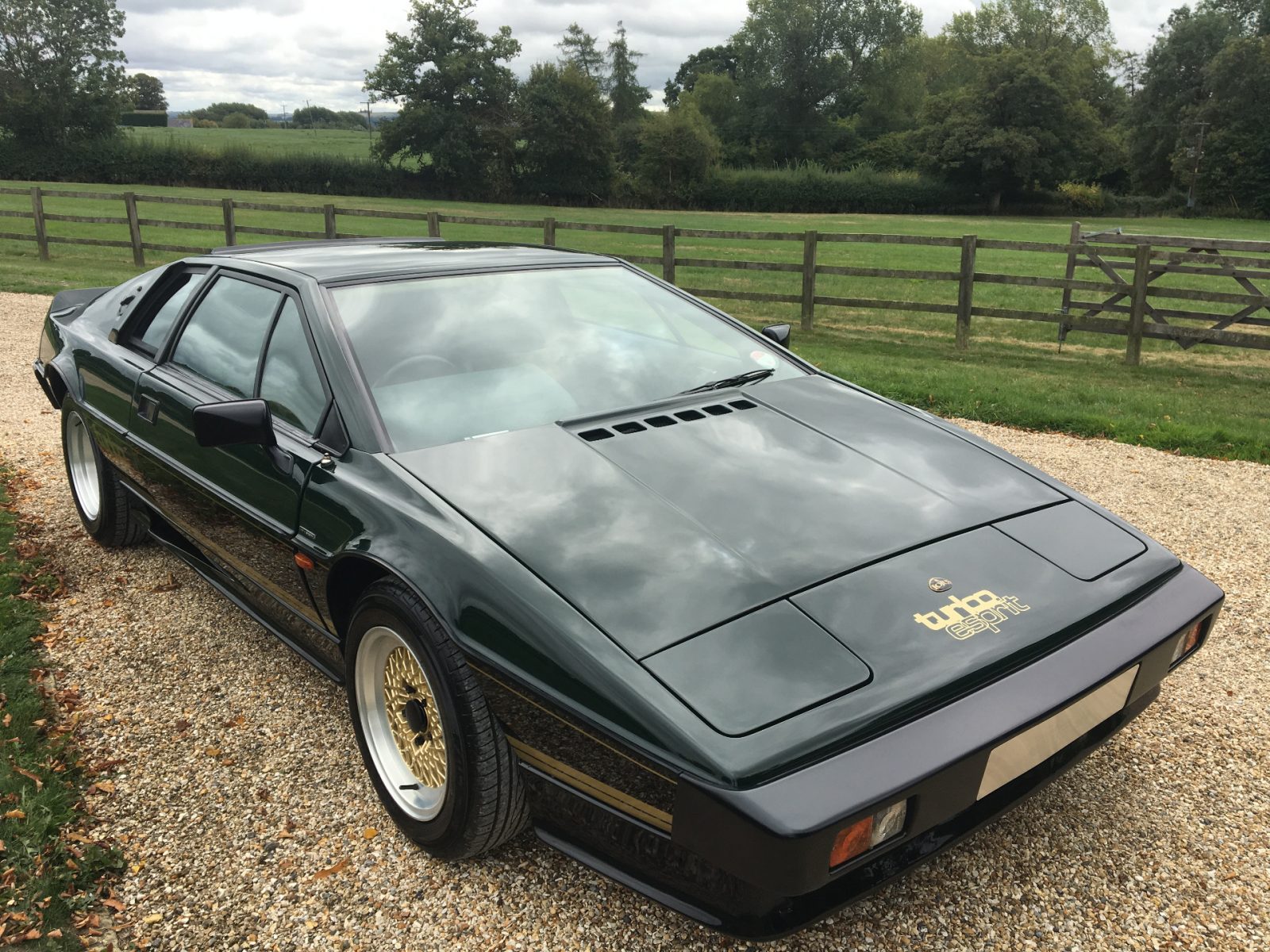 Classic Car Restoration & Sales 9 1983 Lotus Esprit Turbo